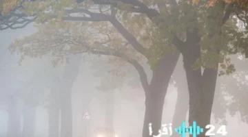 الأرصاد تحذر من شبورة مائية وأمطار متفرقة تشهدها البلاد في طقس الغد